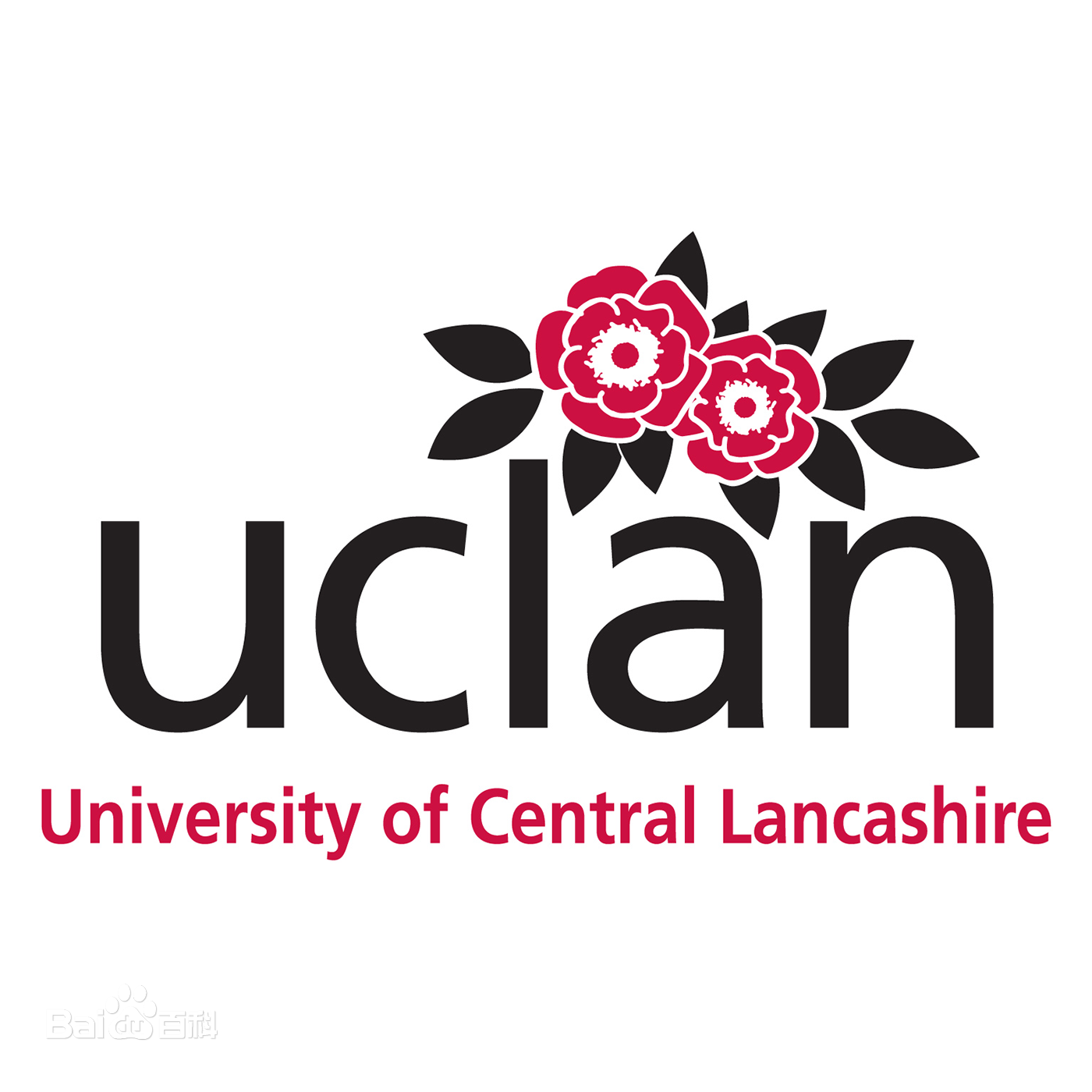 中央兰开夏大学（University of Central Lancashire）